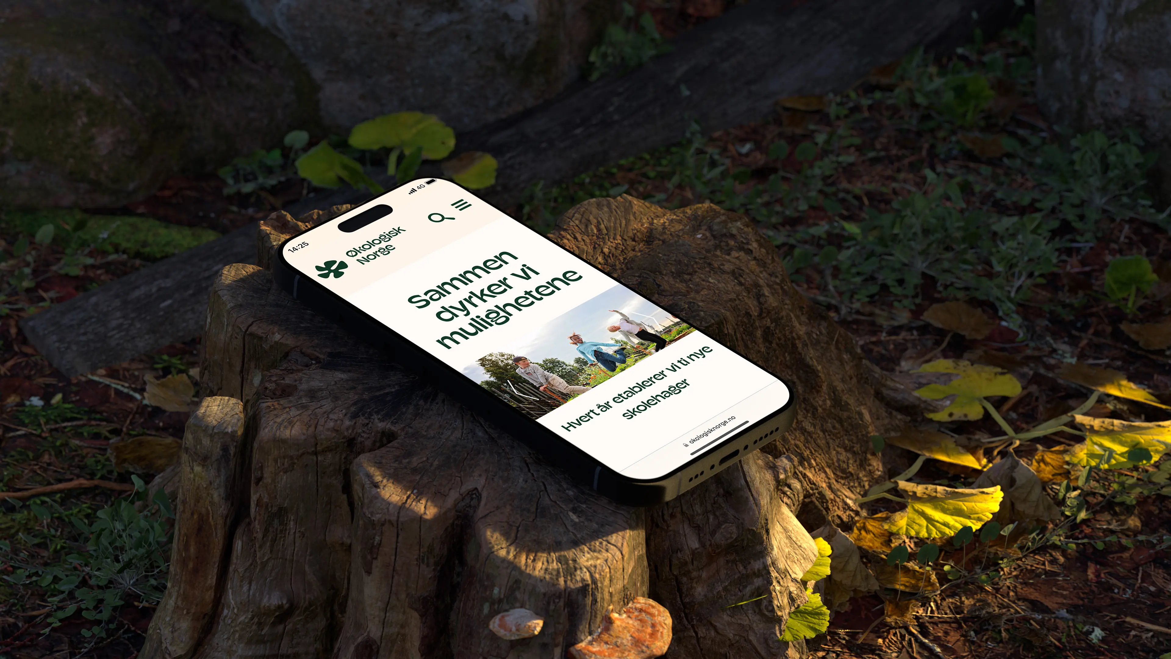 a mobile phone in a forest scenery